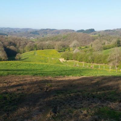 balade a cheval dans le parc naturel du morvan