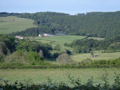 Jeudi 29 mai 14 007